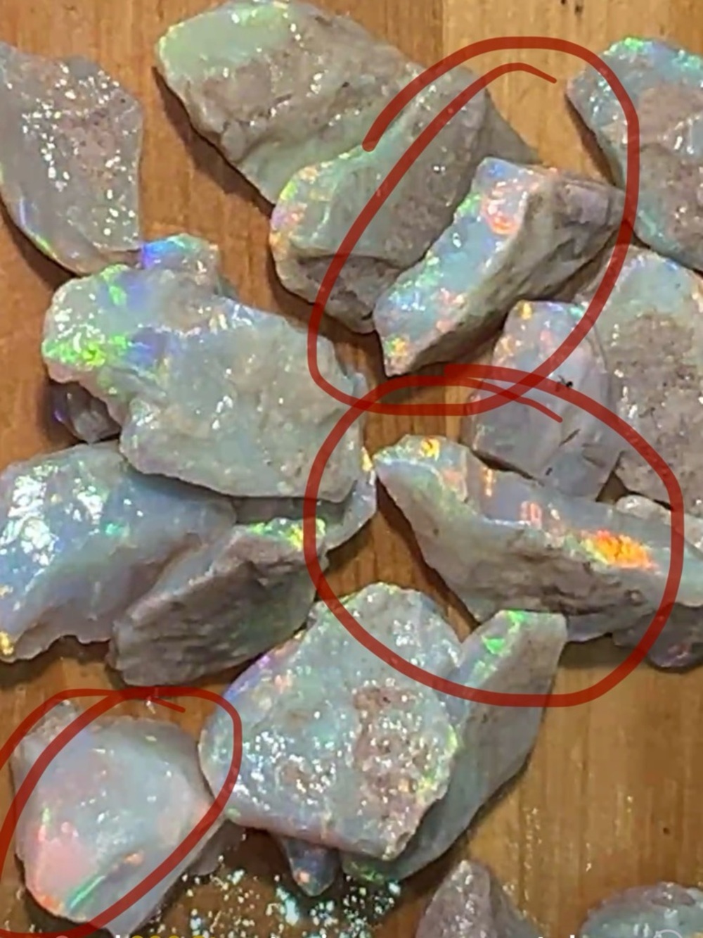 Loose Opal Cabochons - Multicolor Play of Color